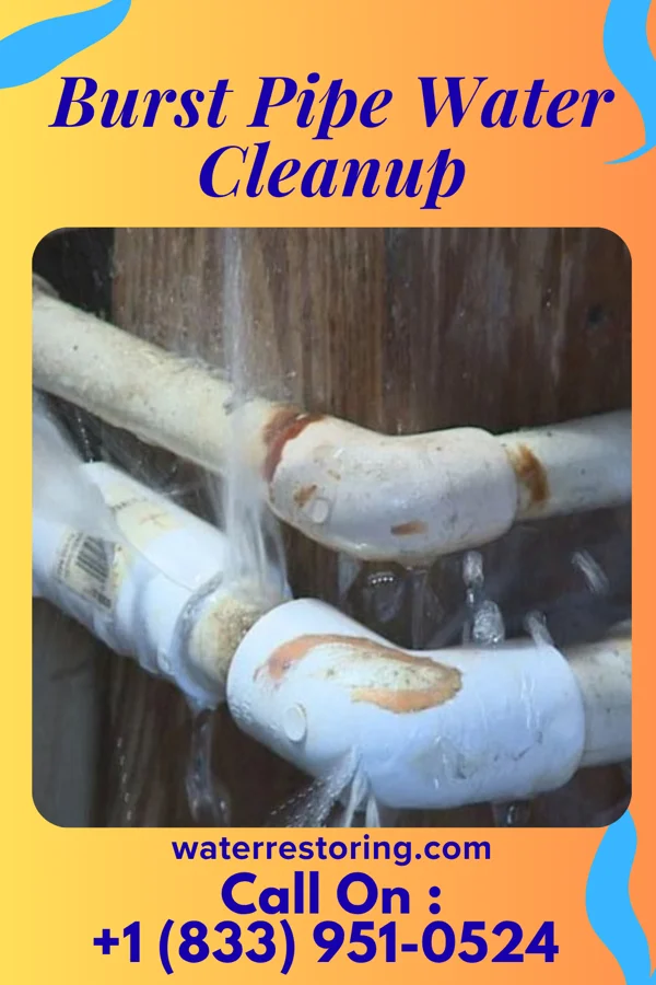 Burst Pipe Water Cleanup in Farmington, WV