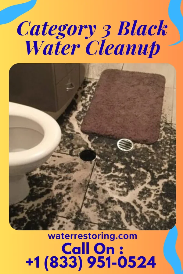 Category 3 Black Water Cleanup in Farmington, WV