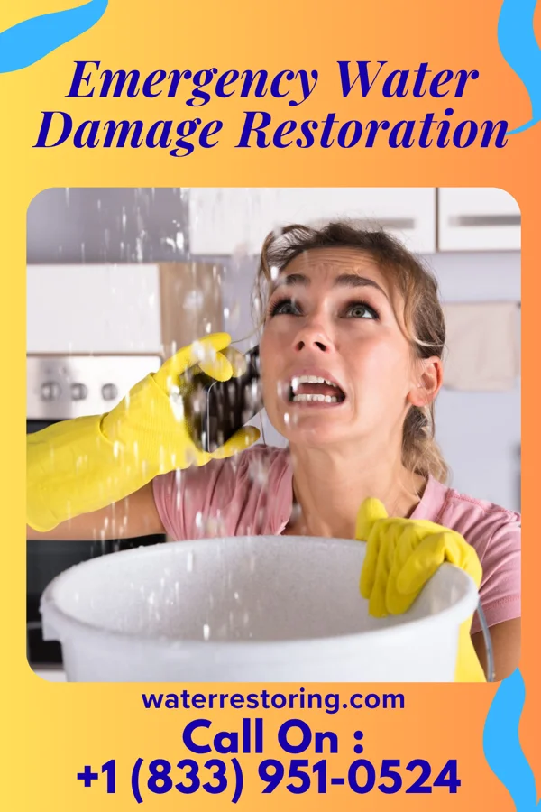 Emergency Water Damage Restoration in Farmington, WV