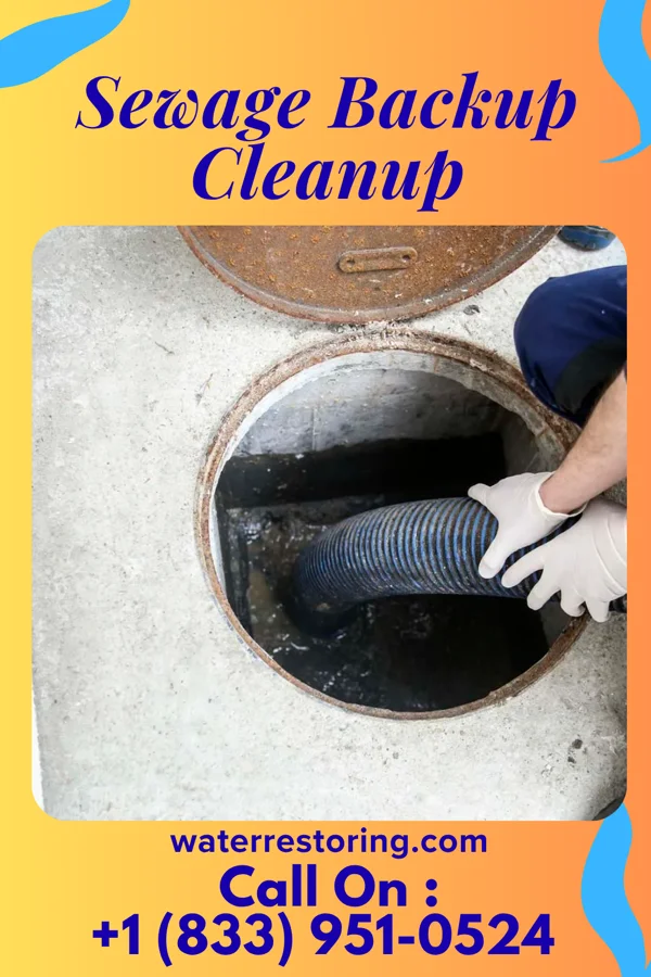 Sewage Backup Cleanup in Farmington, WV
