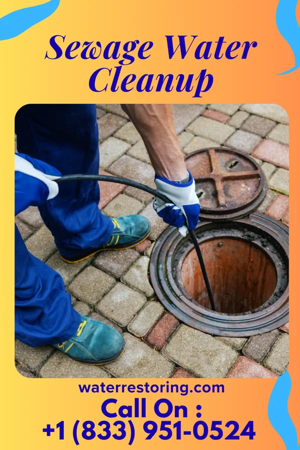 Sewage Water Cleanup in Farmington, WV