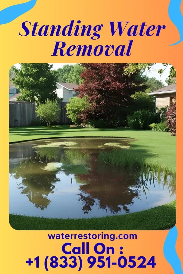 Standing Water Removal in Farmington, WV